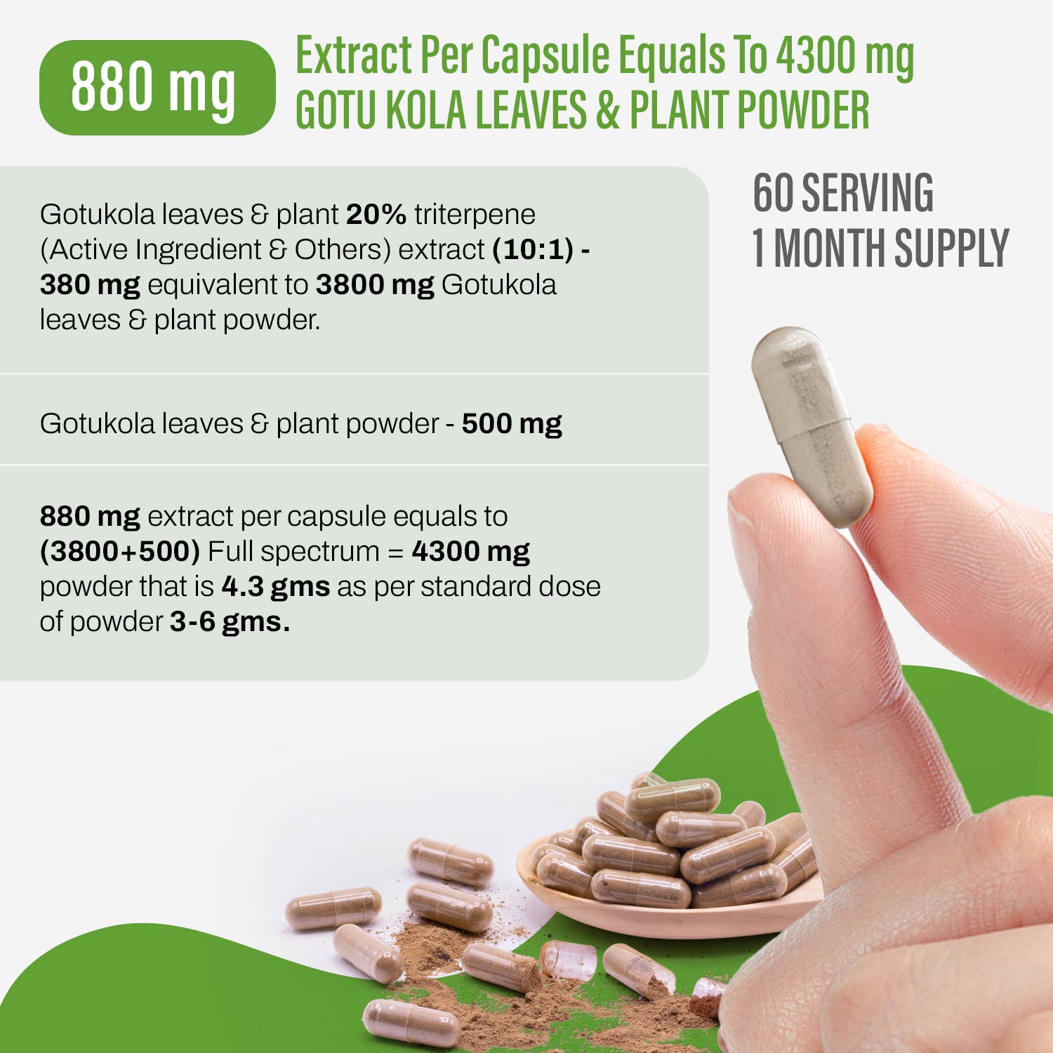 HerbsForever - Wholesale Oral Supplement/Vitamin - Gotu Kola Centella 20% Triterpene 10:1 Extract 60 Caps 880mg1