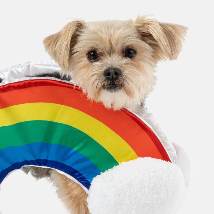 Rainbow Dog Costume – Colorful & Fun Matching Pet Outfit for wholesale by Dollar Paw