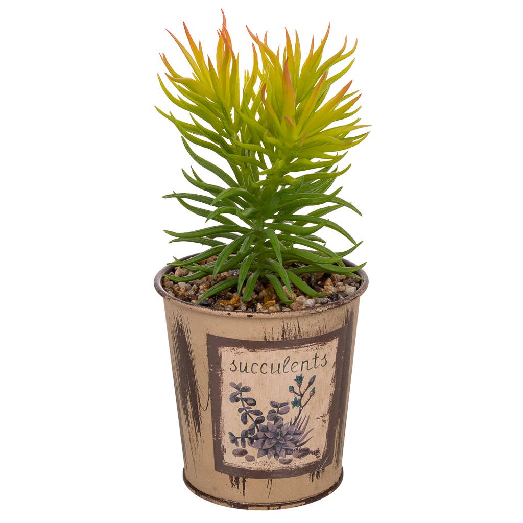 Creaciones Meng - Wholesale Artificial Plant - artificial cactus pot0