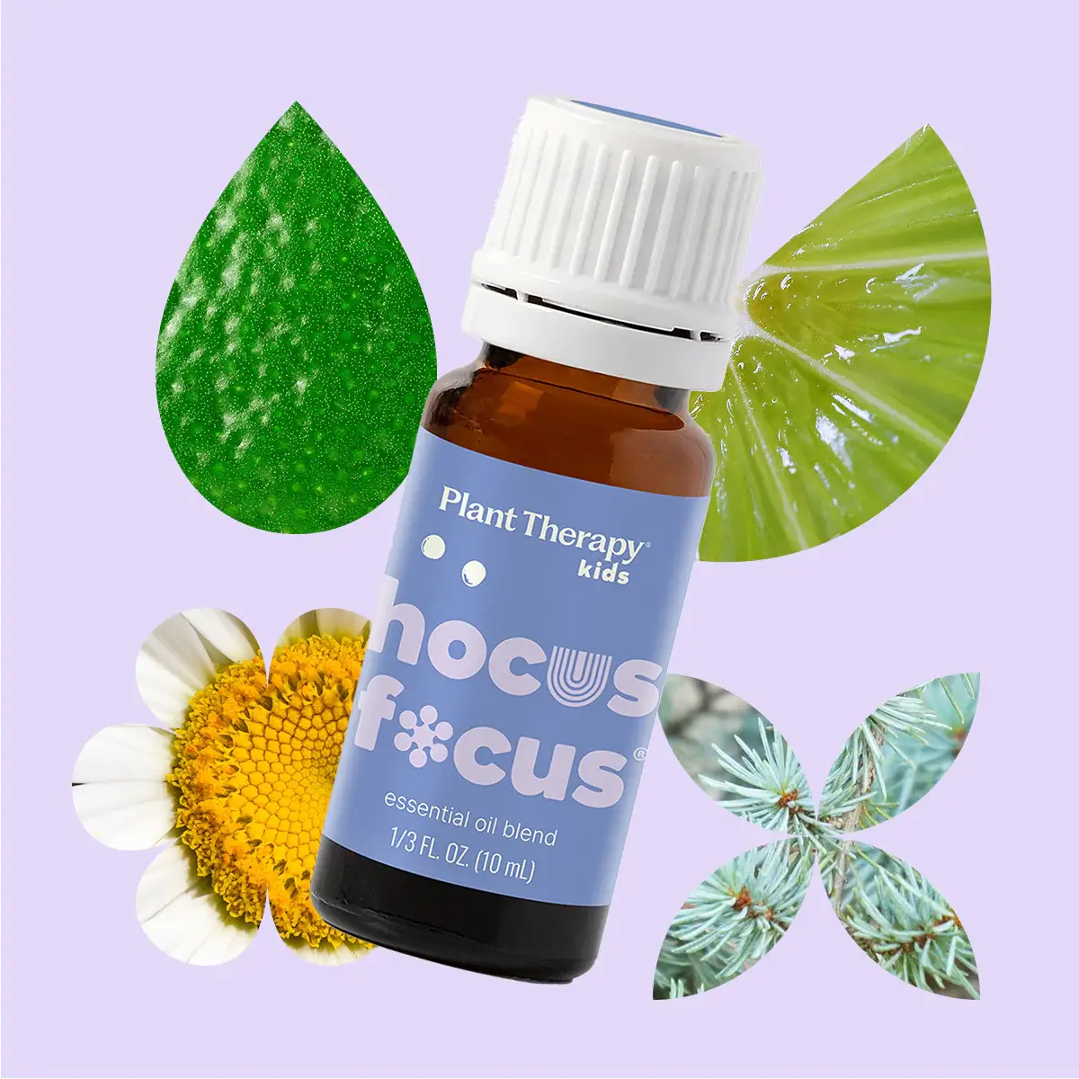 Plant Therapy - Vente Huile essentielle - Mélange d'huiles essentielles Hocus Focus KidSafe 10 ml1
