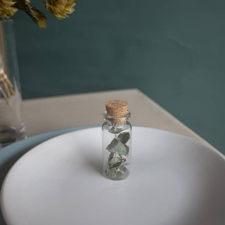 Fernseed - Wholesale Dried/Pressed Flowers - Mini Dried Flower Vials3