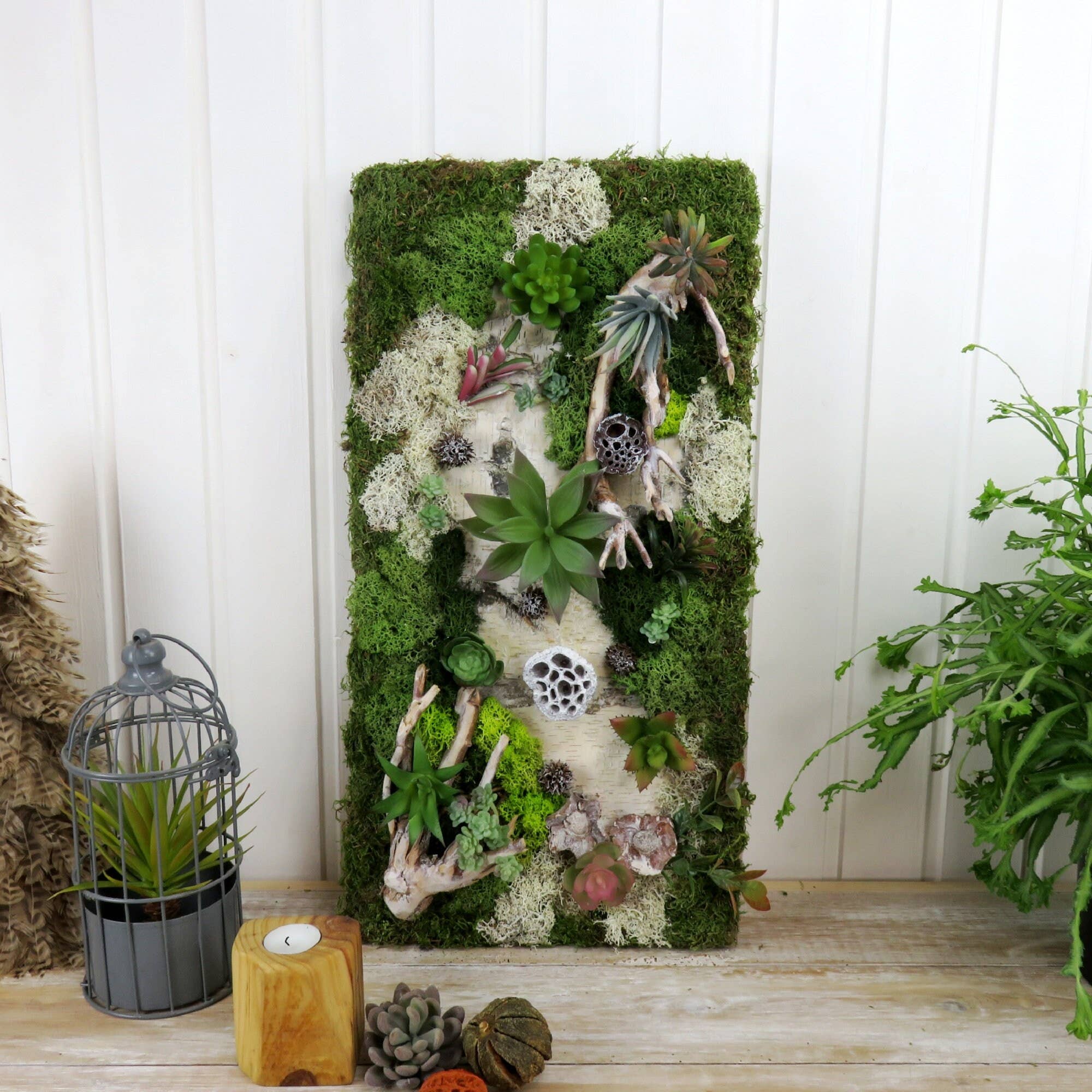 FEATHER KAN GMBH - Venta al por mayor Papel pintado 3D - Musgo, decoración de musgo; decoración del hogar; pared de plantas artísticas7