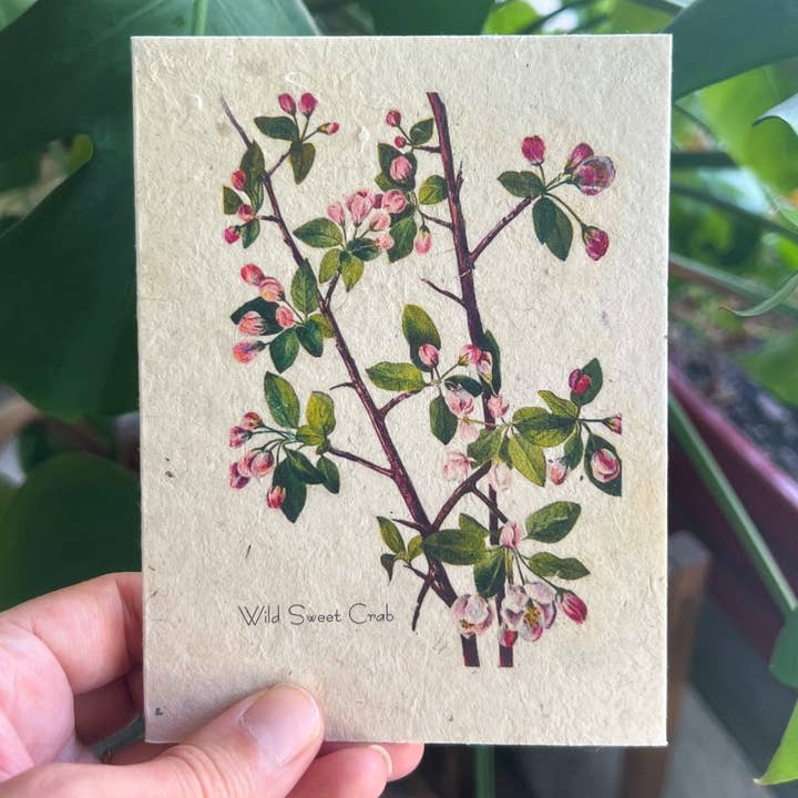 Marissa Kay Co - Wholesale Everyday Greeting Card - Plantable Seed Card || Zero Waste || Supports Women MVW14