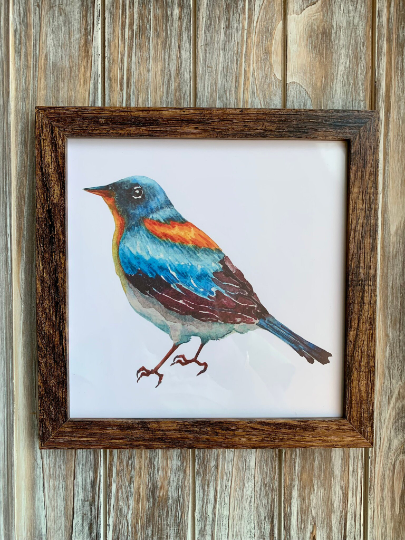 Magnifique Hearts – Großhandel Kunstdruck – Niedliche ornithologische Drucke, 8x8 Zoll, Vogeldrucke7