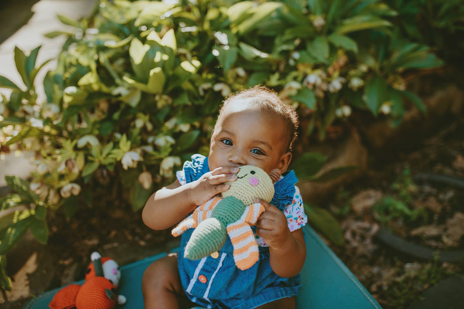 Pebble - Wholesale Handheld Rattle - Baby - Winged Dragonfly Rattle - Garden-Themed Toy3