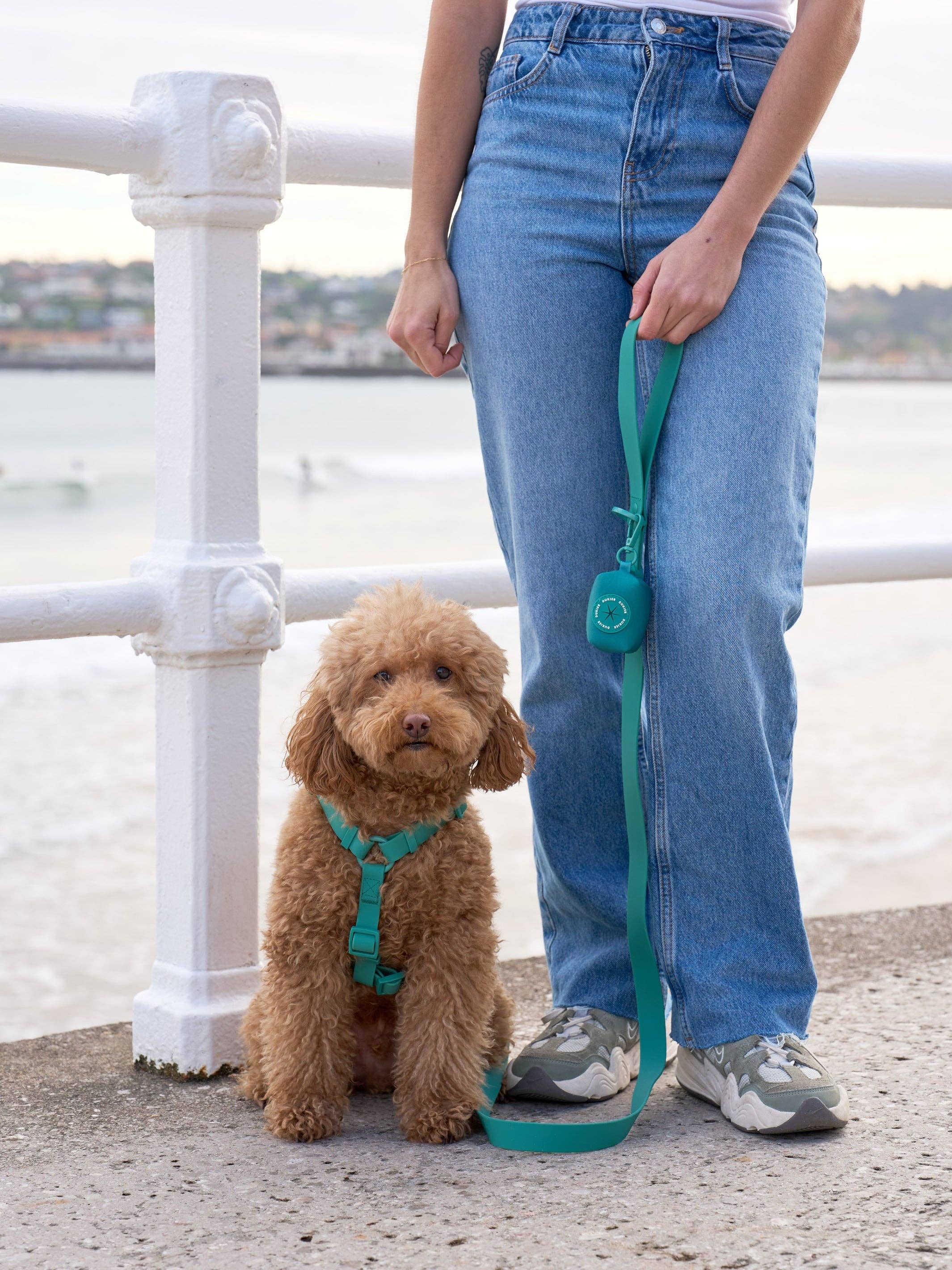 Dukier - Vendita all'ingrosso Pettorina - Cani - Pettorina impermeabile verde per cane1