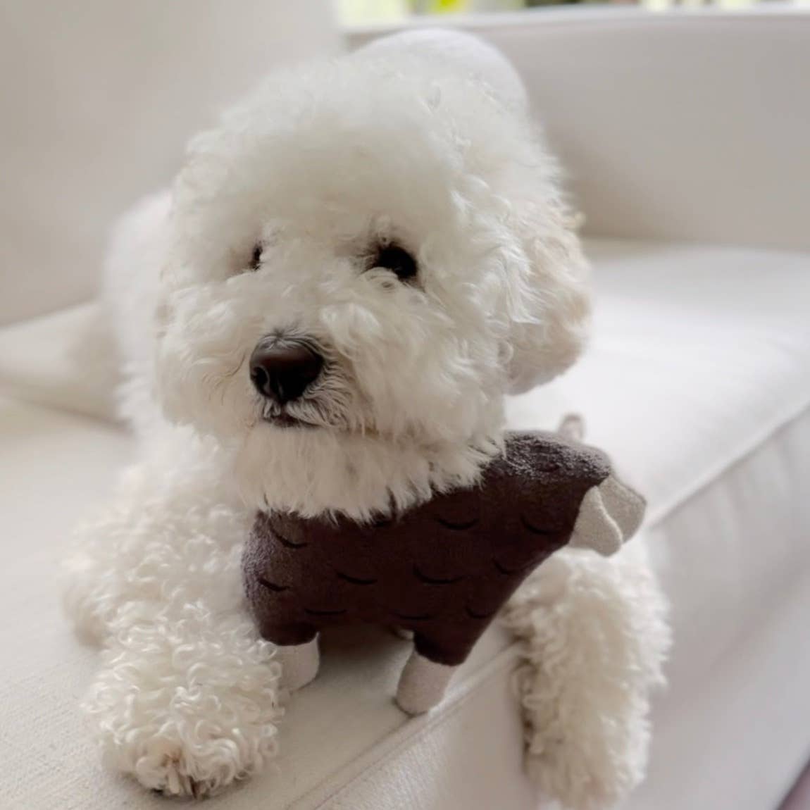 Lambwolf Collective - Wholesale Pet Squeaky Toy - Dog - BARRY // Squeaker Toy 2