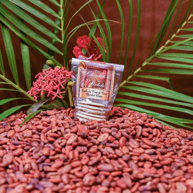 Pose kokosflager hvid chokolade for engroshandel hos Les chocolats de Balata