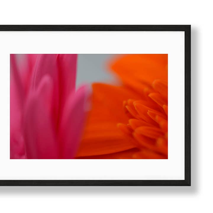 Vibrant | No. 22 for wholesale by Chelsey Walker Creative