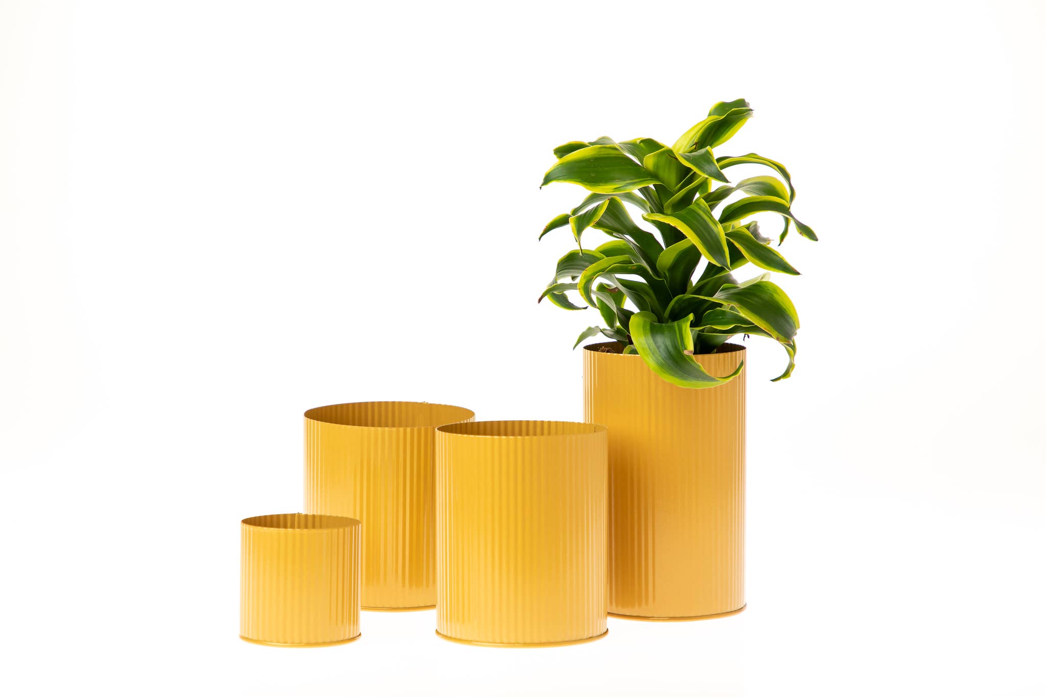 UNIMIX FLORAL – wholesale Vase – Tin Galvanized Pot Wedding, Event & Everyday 5"x5"4