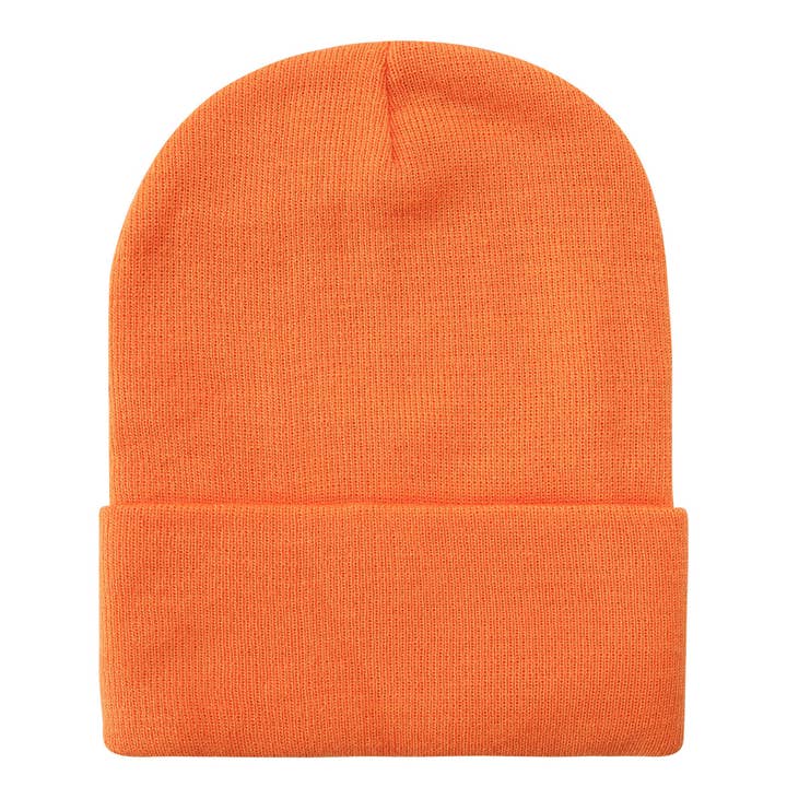 TAPA fashion - Wholesale Beanie - Women's - Solid Color Plain Long Beanie BP100-C (12PC)17