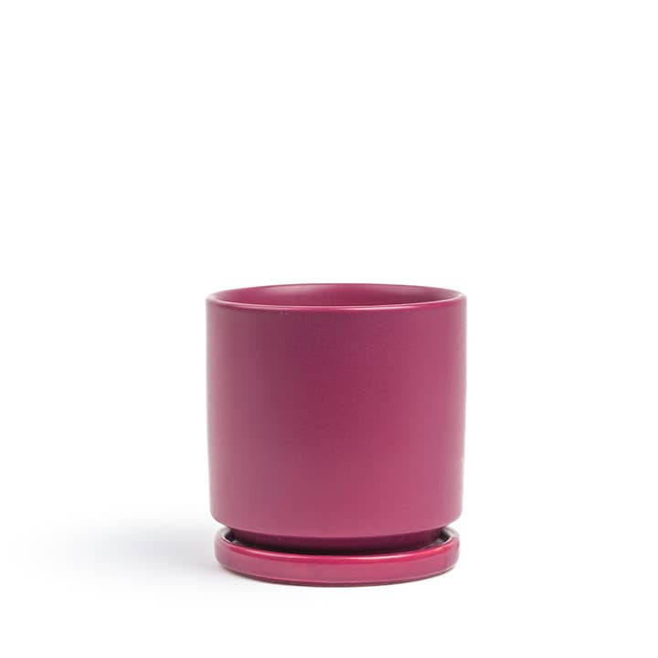 Momma Pots - Wholesale Plant Pot - Limited Release - 10.5" Cylinder Pots with Water Saucers