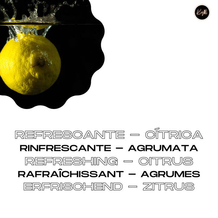 Keep Your Essence - Wholesale Car Freshener - Unisex - Ambicar - Car air freshener - Black and silver cover_ LIMONCELLO2