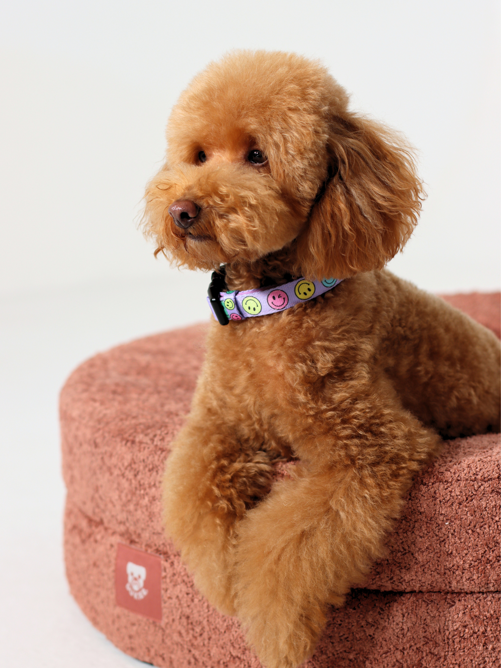 Dukier - Wholesale Pet Bed - Dog - DUKIER TERRACOTTA BED COVER1