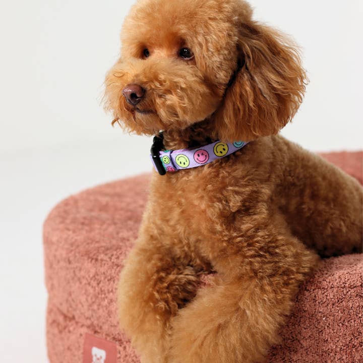 Dukier - Wholesale Pet Bed - Dog - DUKIER TERRACOTTA BED COVER1