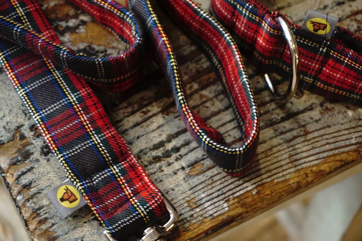 hundsfutter - Wholesale Pet Collar - Dog - Collar, leash, and bag holder set.11