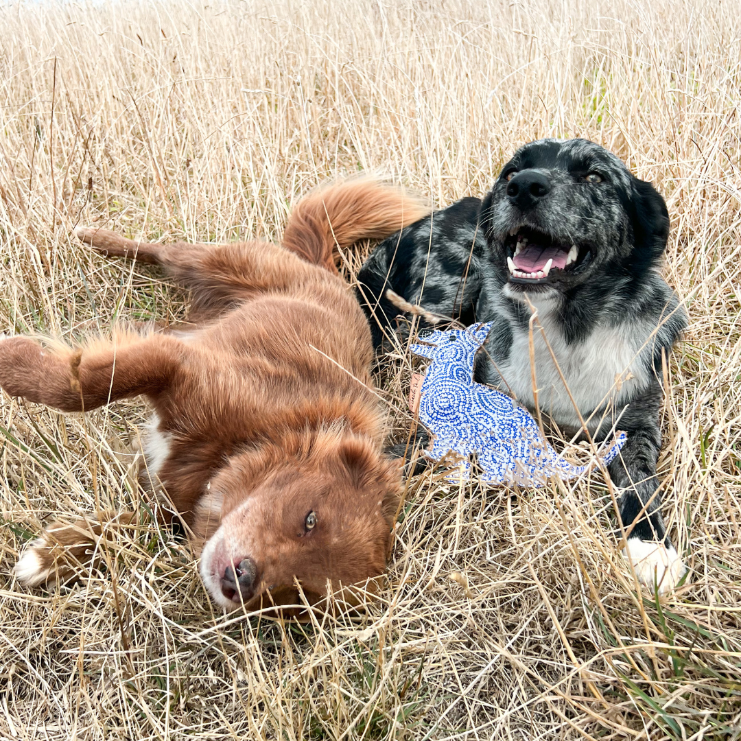 Outback Tails - Wholesale Kauwspeeltje voor honden - Hond - Desert Dog speeltje - Stinky2