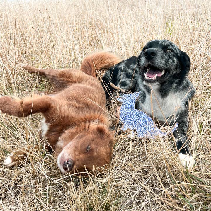 Outback Tails - Vente Jouet à mâcher – chien - Jouet à mâcher Desert Dog - Stinky2