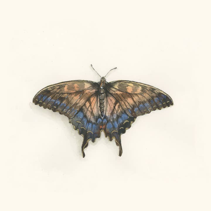 *Hand Embellished* Swallowtail Butterfly Fine Art Print for wholesale by Ciarra Claire