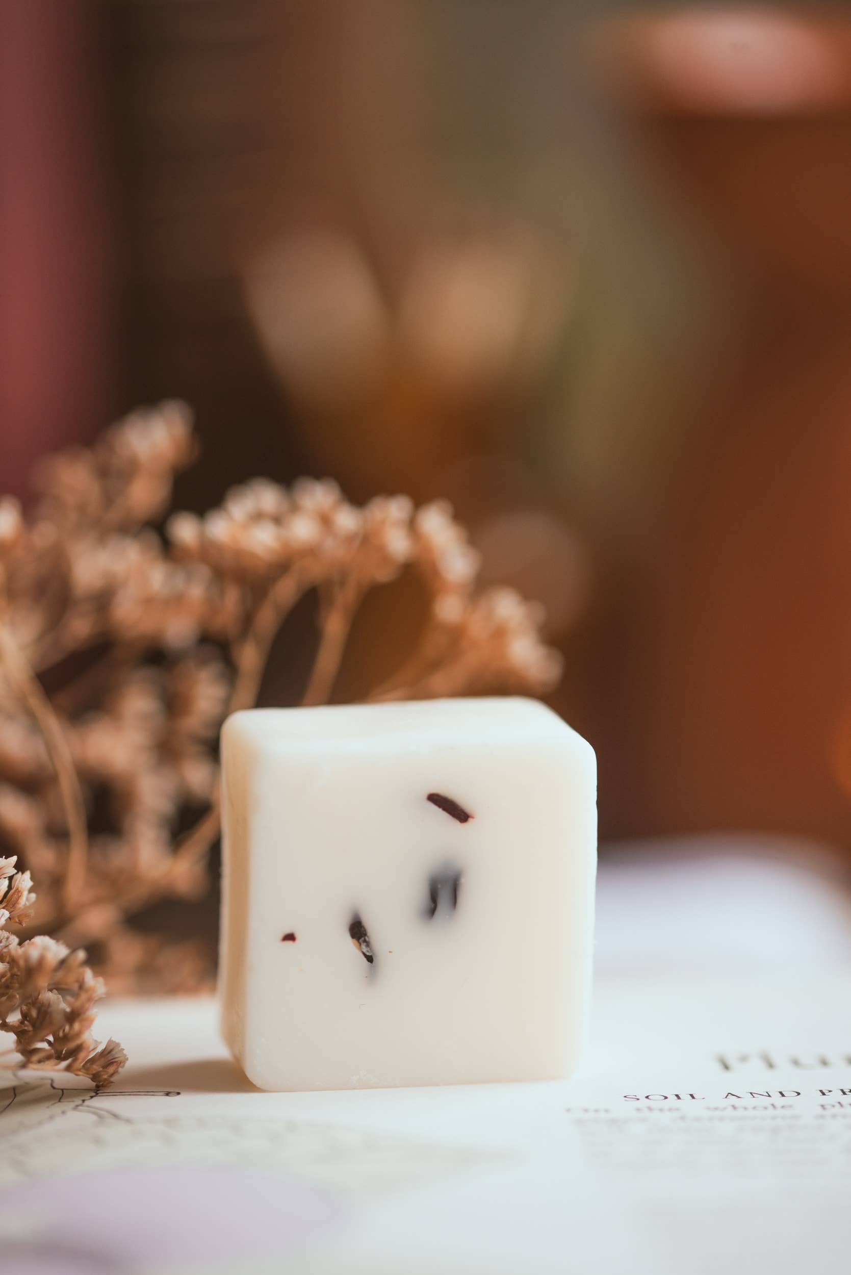 Meleri and Maple Co – wholesale Retailer sample – Home decor – Individual Wax Melt Samples2