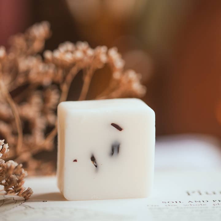 Meleri and Maple Co – wholesale Retailer sample – Home decor – Individual Wax Melt Samples2