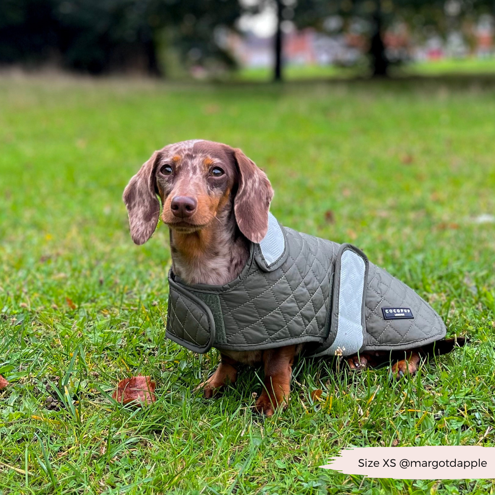 Cocopup London - Wholesale Pet Coat - Dog - LUXE Quilted Dog Coat - Country Khaki18