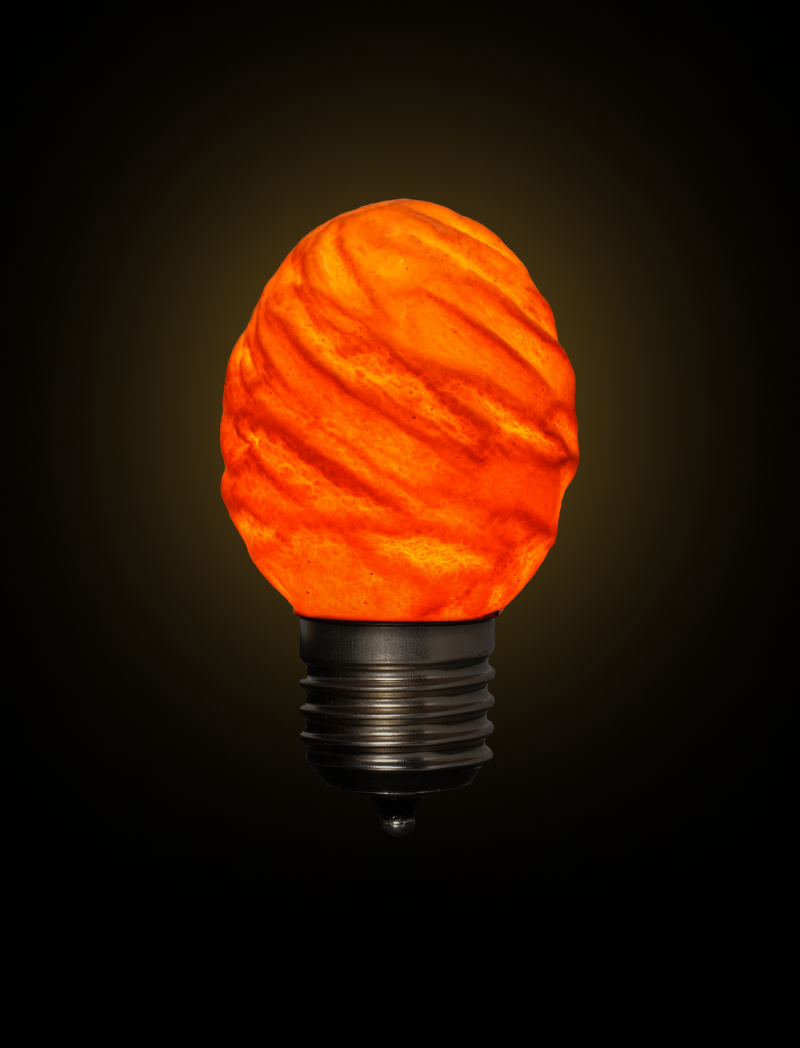 Egglamp - Wholesale Light Bulb/Puck - Egglamp Special | Lightbulb made from B-rated Egg1