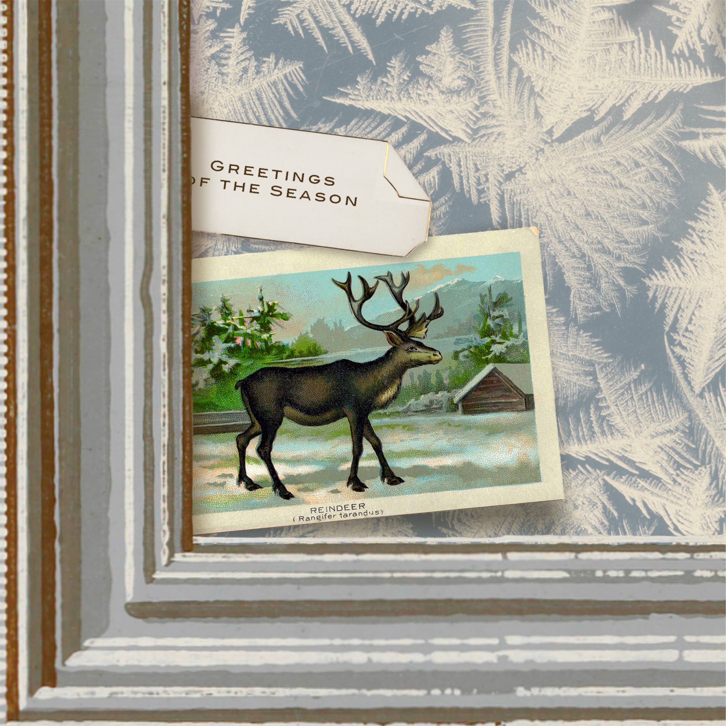 Pictrix Design - Wholesale Season's Greetings Card - "Greetings of the season" seasonal greeting card4