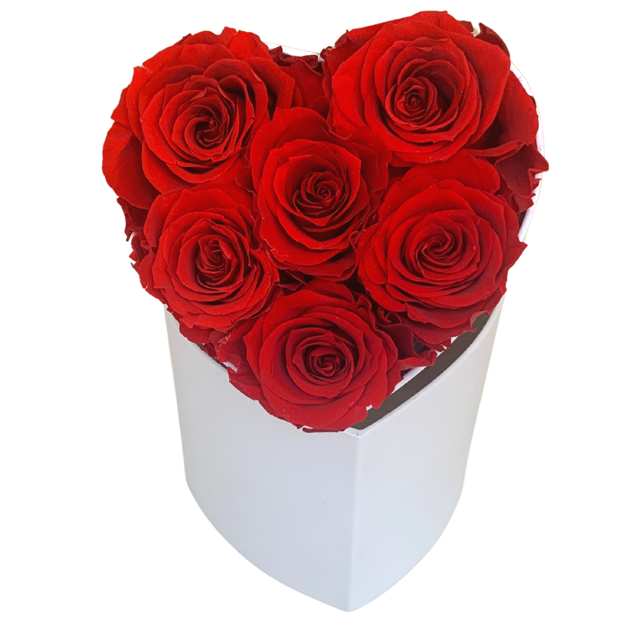 verona home and gift - Wholesale Dried/Pressed Flowers - Real Preserved Roses that Last Forever 37