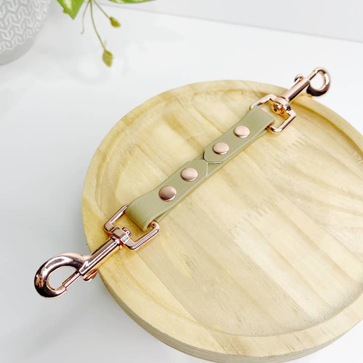 Sangle de sécurité en biothane et sangle colorée pour la vente par My Pawchella