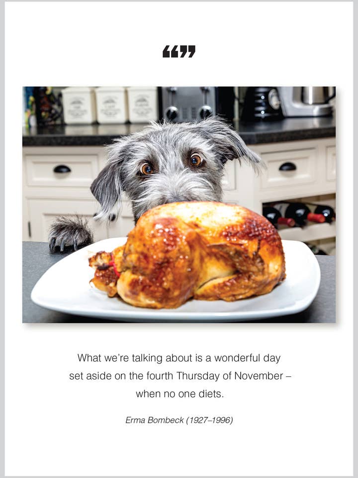 Carte de vœux de Thanksgiving merveilleuse journée pour la vente par The Borealis Press Inc