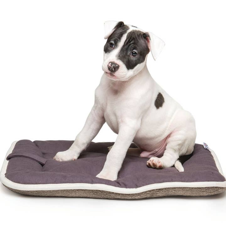 Dog Gone Smart - Wholesale Pet Bed - Dog - Canvas Sleeper Cushion8