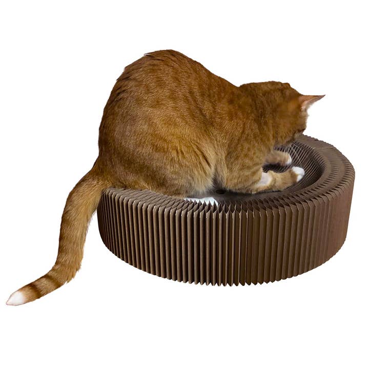 Travel Cat | Your Cat Backpack - Wholesale Pet Scratcher - Cat - "The Accordion" Travel Cardboard Bed & Scratcher