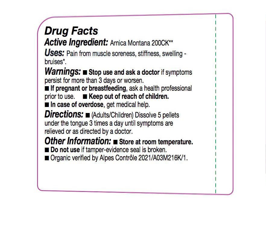 Ollois - Wholesale Oral Supplement/Vitamin - Ollois Arnica Montana 200ck Cube Display-12ea (For Retail)3