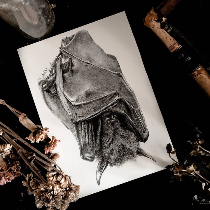 Sleeping Bat Print for wholesale by House of Hex