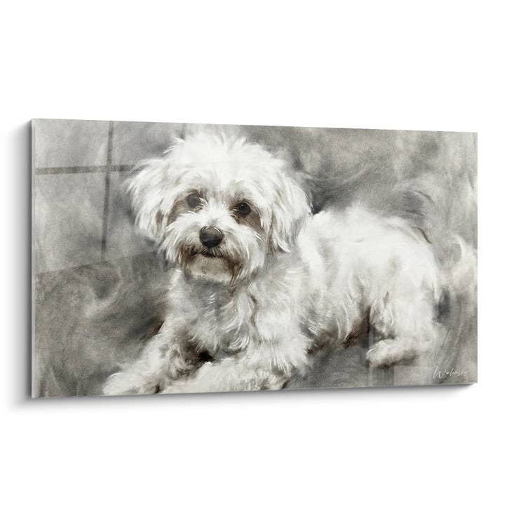Retrato de Bichon Maltês em Sépia - Olhar Terno - Edição Bichon Maltês por atacado de Walensky