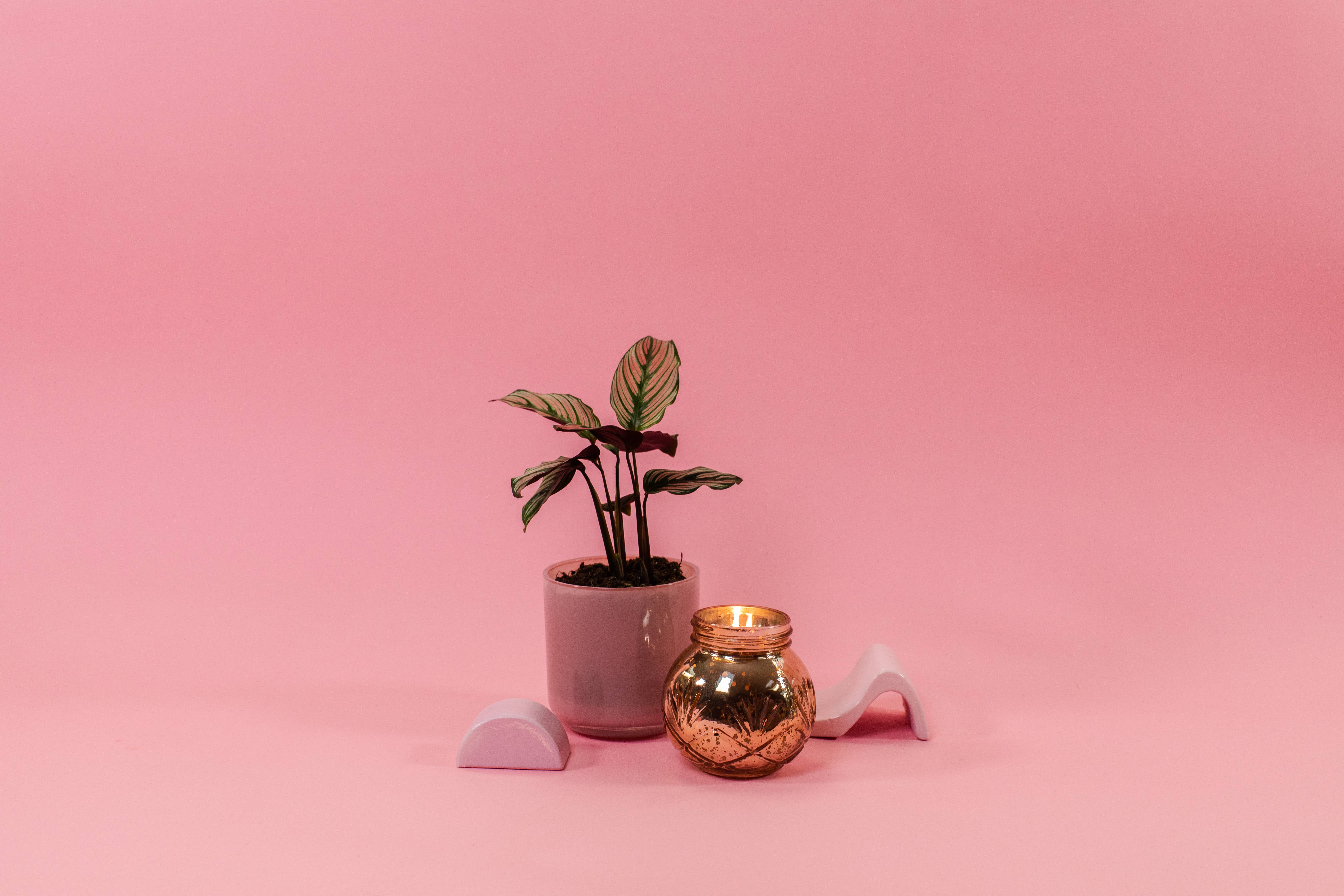 Bridgewater Candle Company - Wholesale Jar/Filled Candle - Sweet Grace Collection Candle #0084