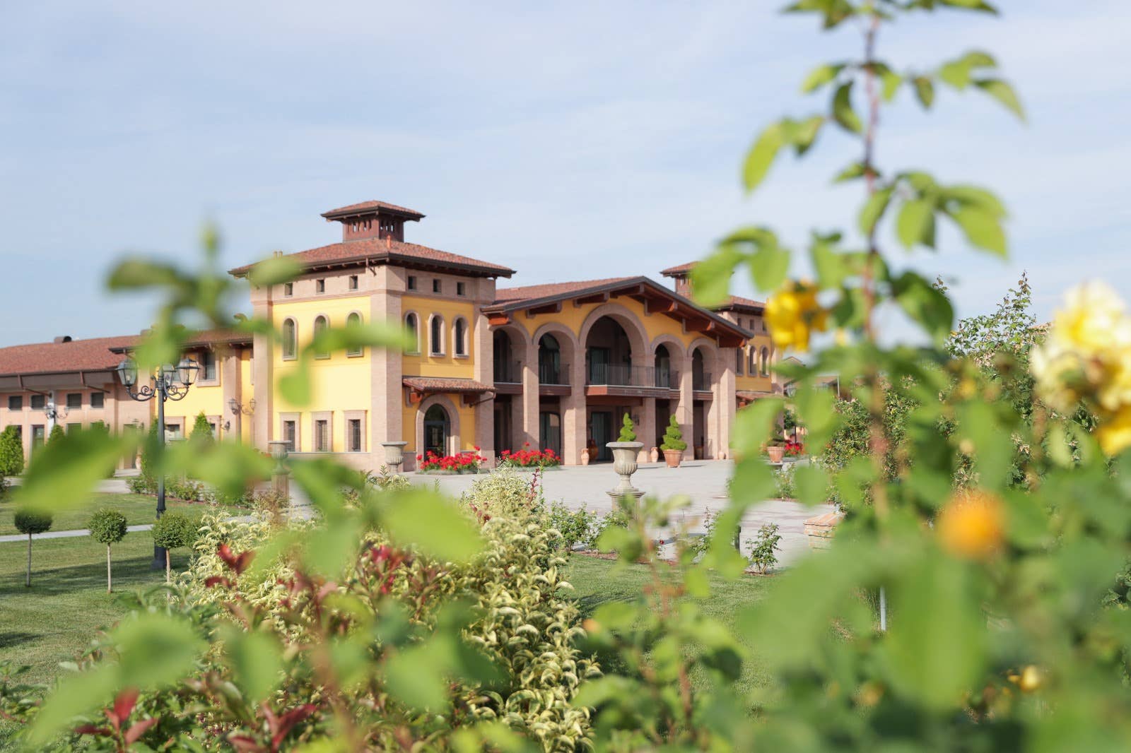 Fratelli del Vino – Großhandel Essig – Balsamico-Essig aus Modena DOP, Affinato1