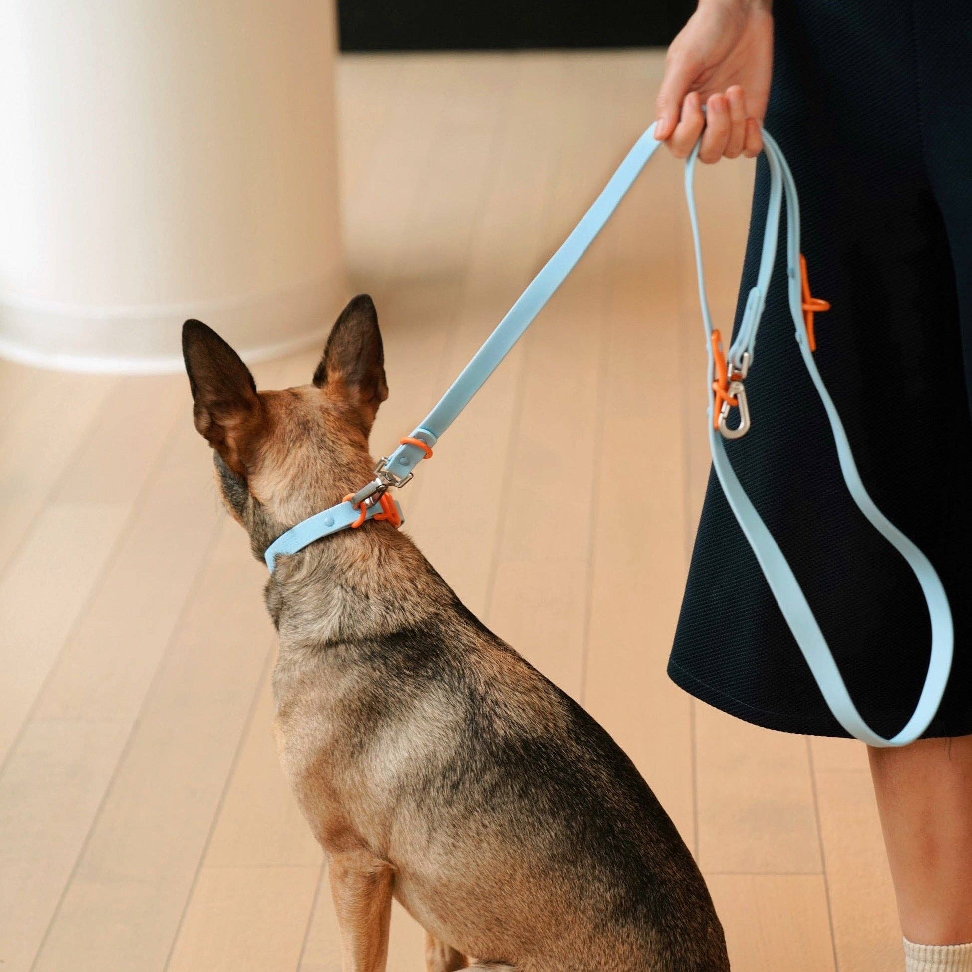 Approved by Fritz - USA - Wholesale Pet Collar - Dog - The Fritz Dog Collar 8