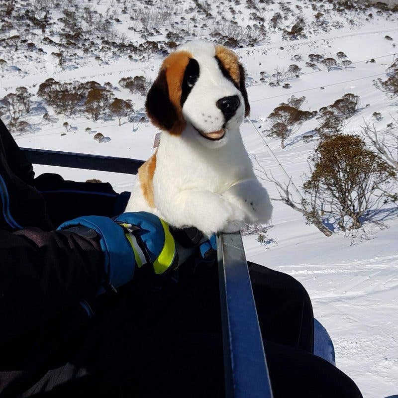 Bocchetta Plush Toys - Wholesale Pet Plush Toy - Dog - Mozart - St. Bernard Size 40cm/15.7"1