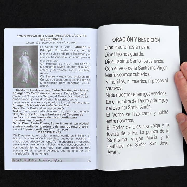 Oremus Mercy - Wholesale Book - Adult - Maria Rosa Mistica Madre de La Iglesia Softcover Book