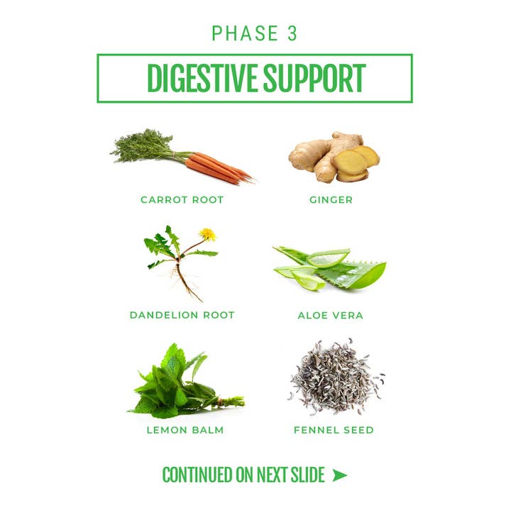 Detox Organics - Vendita all'ingrosso Proteine/superfood in polvere - Superfoods giornalieri (200+ pc)