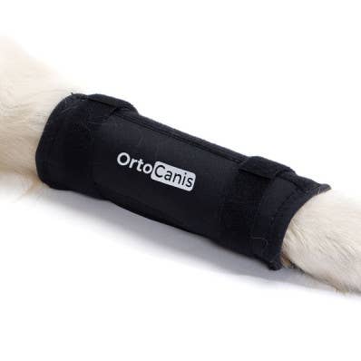 Support de carpe pour chiens Ortocanis pour la vente par Ortocanis