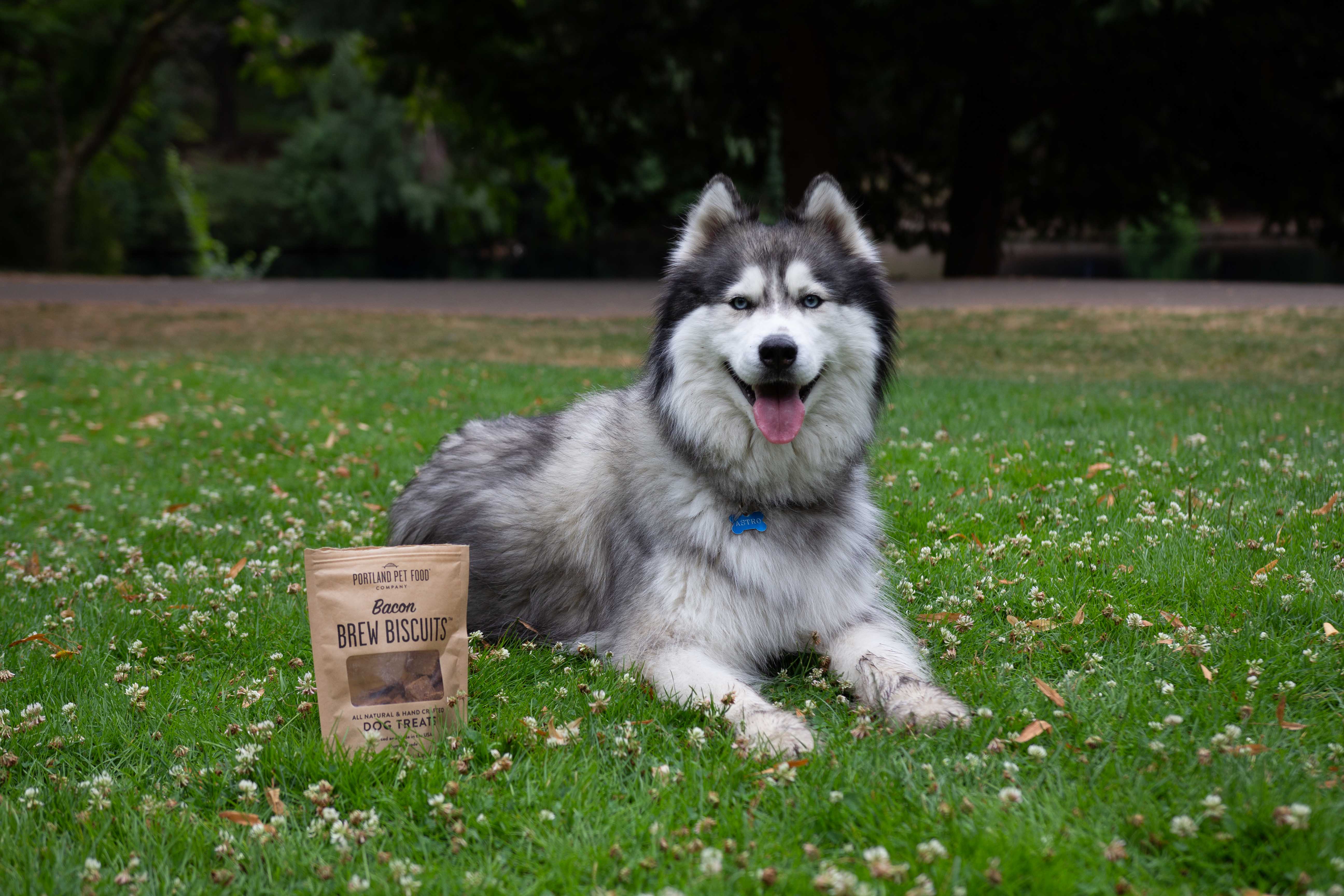 Portland Pet Food Company - Vente Biscuits – chien - Biscuits pour chiens infusés au bacon6