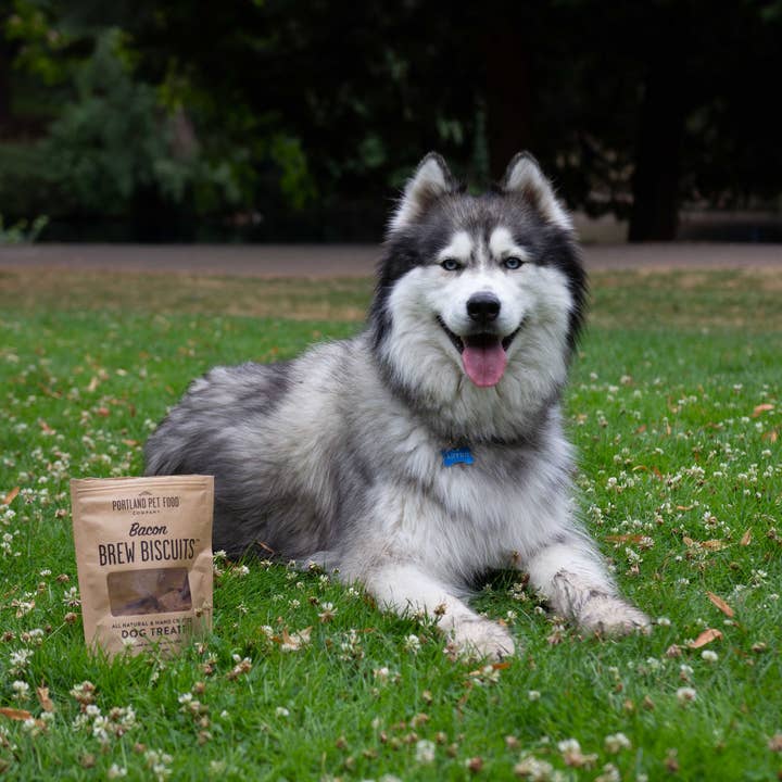 Portland Pet Food Company - Vente Biscuits – chien - Biscuits pour chiens infusés au bacon6