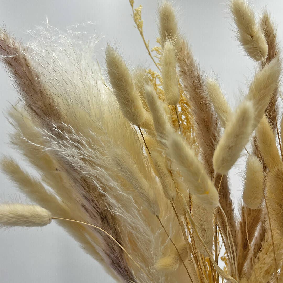 2626 Designs - Wholesale Dried/Pressed Flowers - Real Preserved Mixed Bouquets Mix 8 Small - Med - Large9