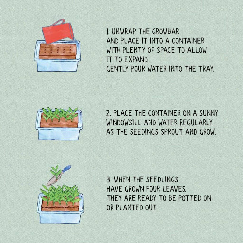 Growbar – wholesale Plant seeds – The Space Growbar3