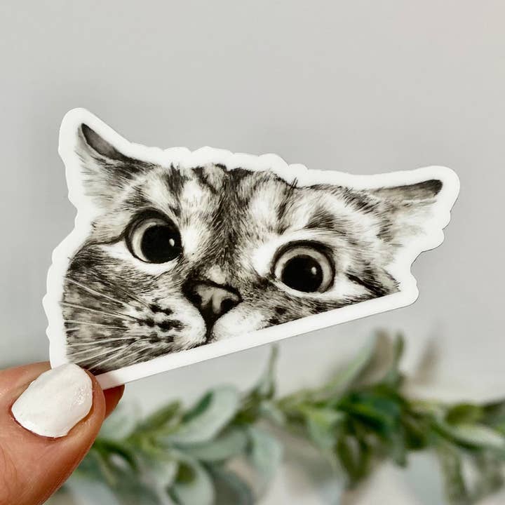 Peeking Cat Stickers for wholesale by Big Moods