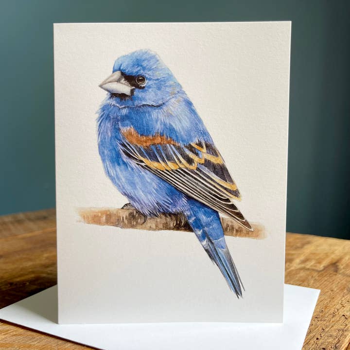Blue Grosbeak - Blank Note Card for wholesale by Amy Shawley Paquette