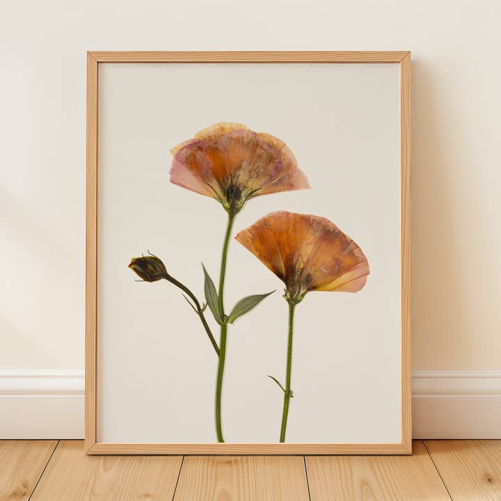 Hope Steinle Pressed Flower Art - Vente Affiche d'art - Blush & Bloom0